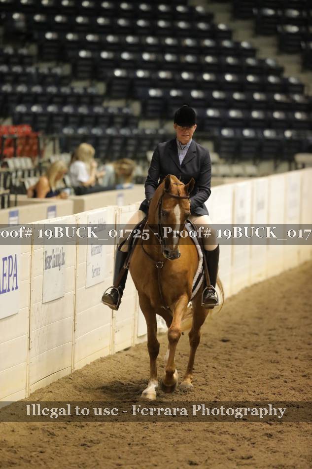 Proof 19BUCK_01725