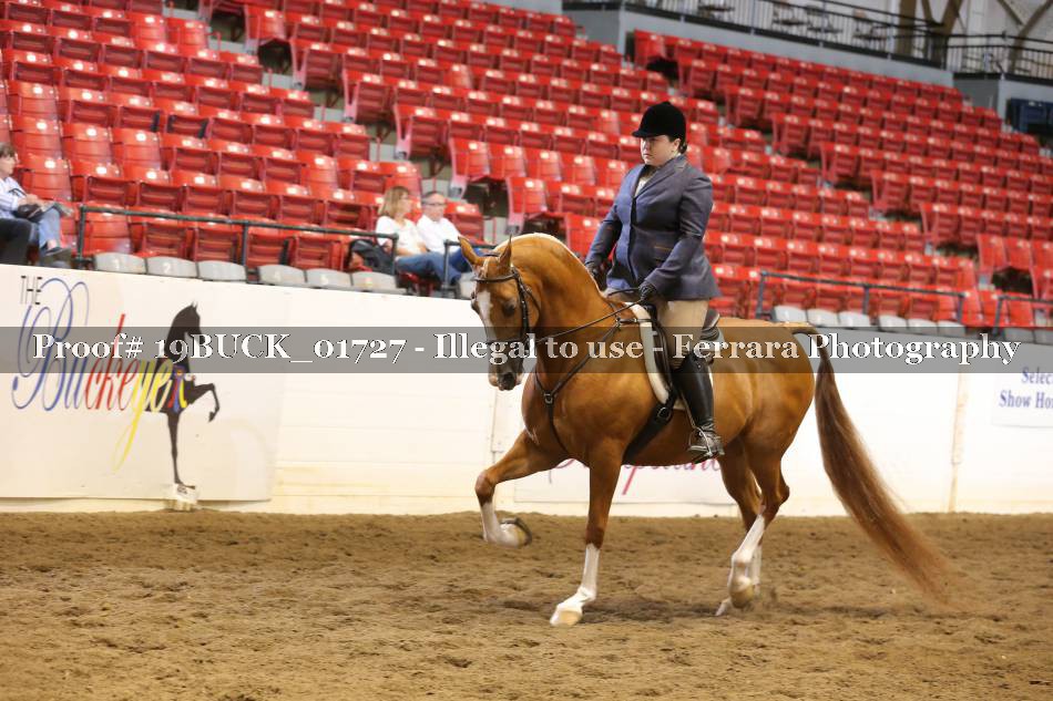 Proof 19BUCK_01727