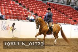 19BUCK_01727 proof