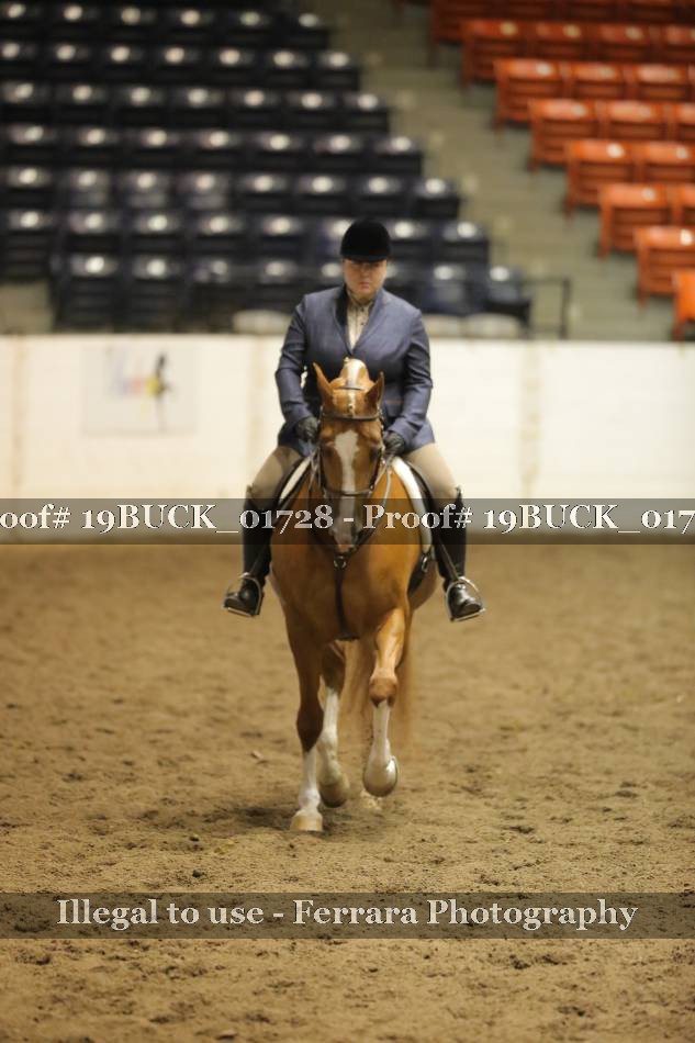 Proof 19BUCK_01728