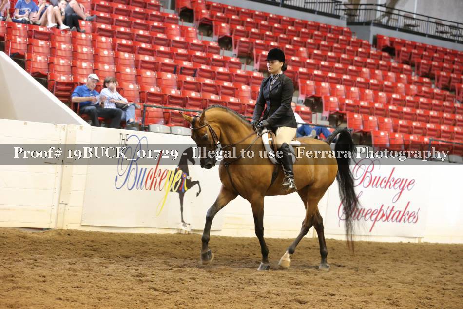 Proof 19BUCK_01729