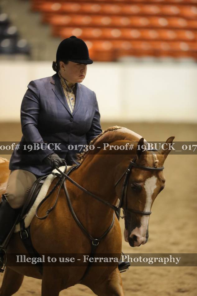 Proof 19BUCK_01730