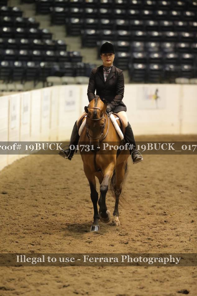 Proof 19BUCK_01731