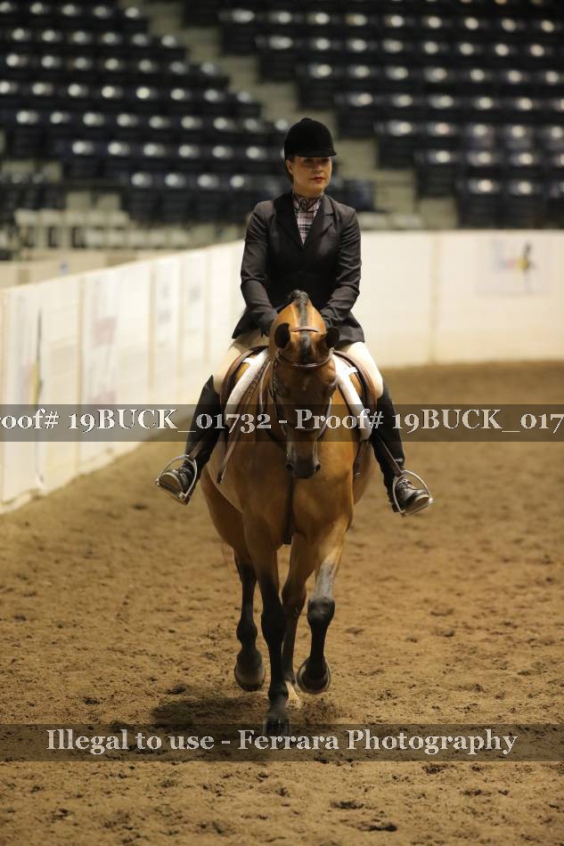 Proof 19BUCK_01732