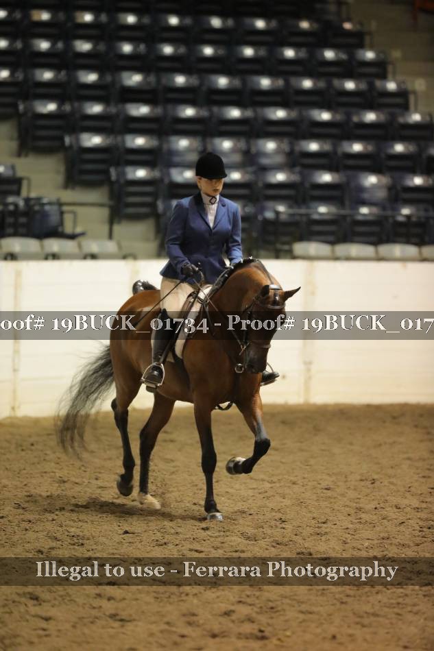 Proof 19BUCK_01734
