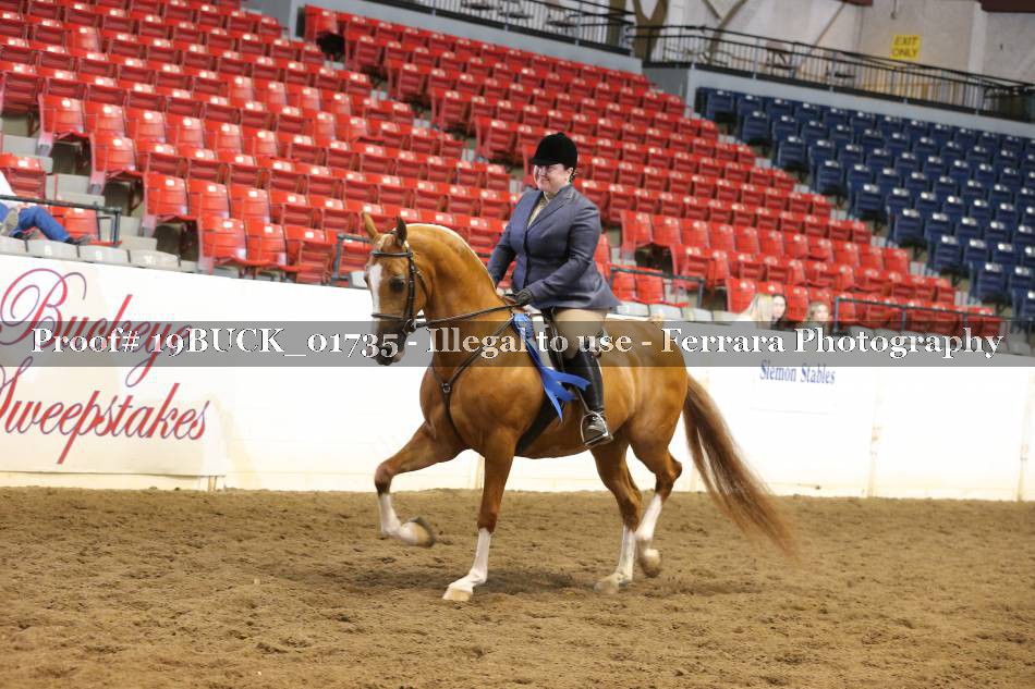 Proof 19BUCK_01735
