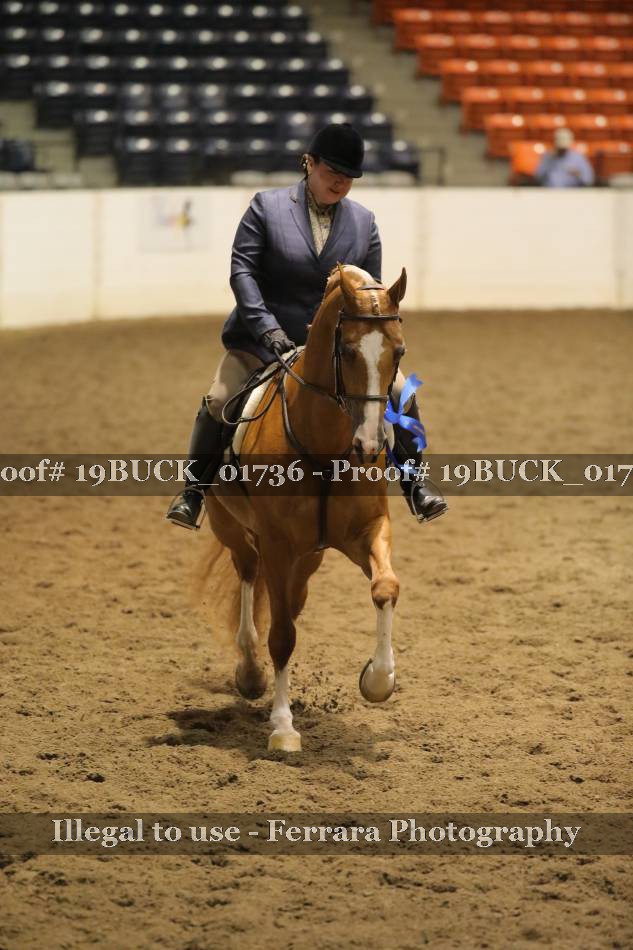 Proof 19BUCK_01736