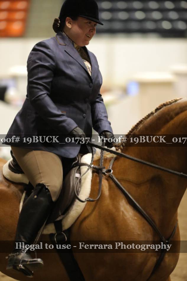 Proof 19BUCK_01737