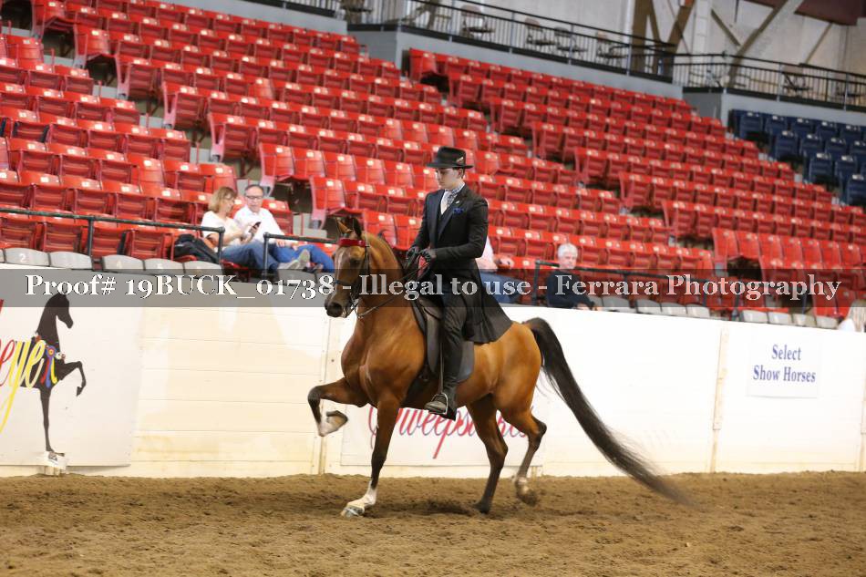 Proof 19BUCK_01738