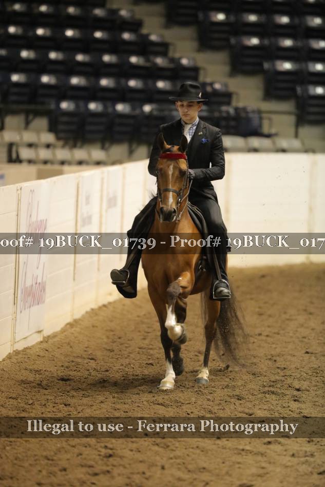 Proof 19BUCK_01739