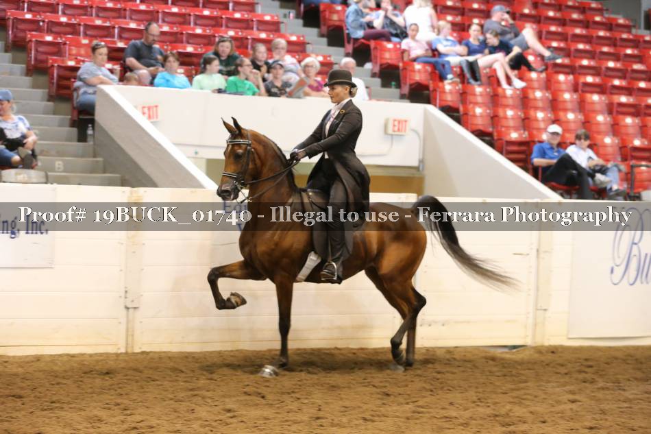 Proof 19BUCK_01740