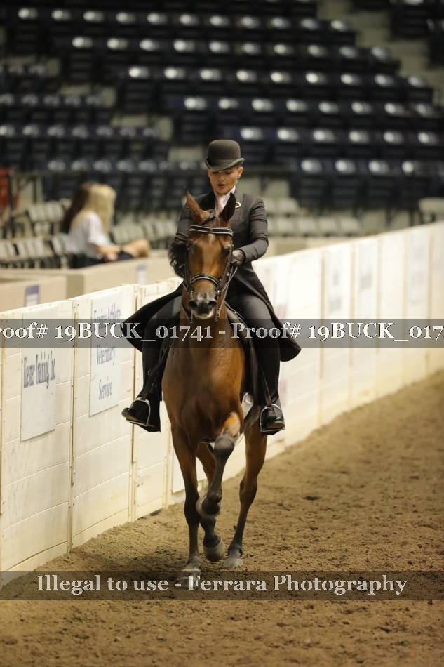 Proof 19BUCK_01741