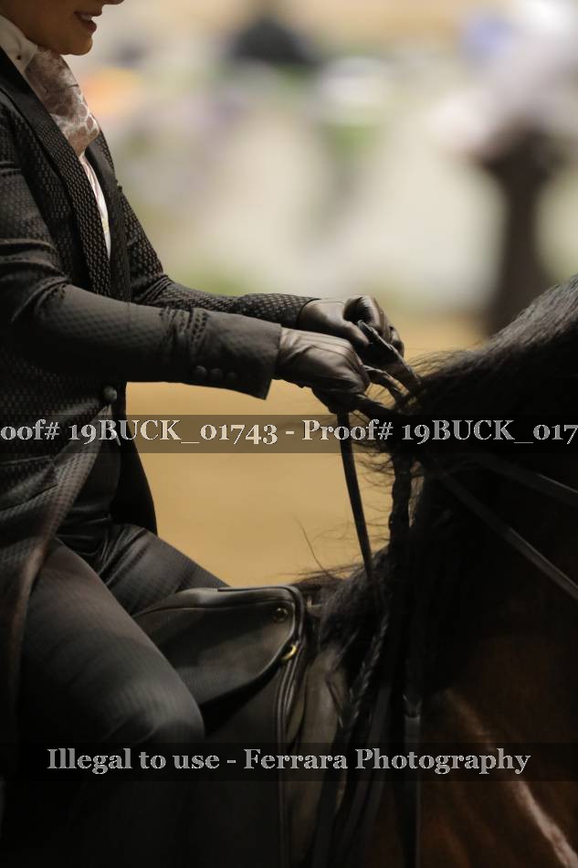 Proof 19BUCK_01743