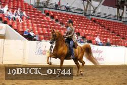 19BUCK_01744 proof