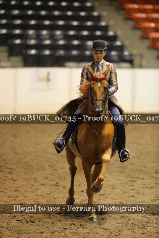 Proof 19BUCK_01745