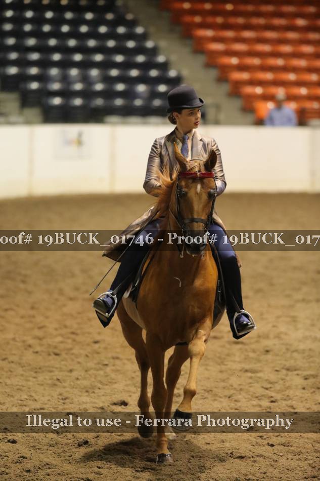 Proof 19BUCK_01746