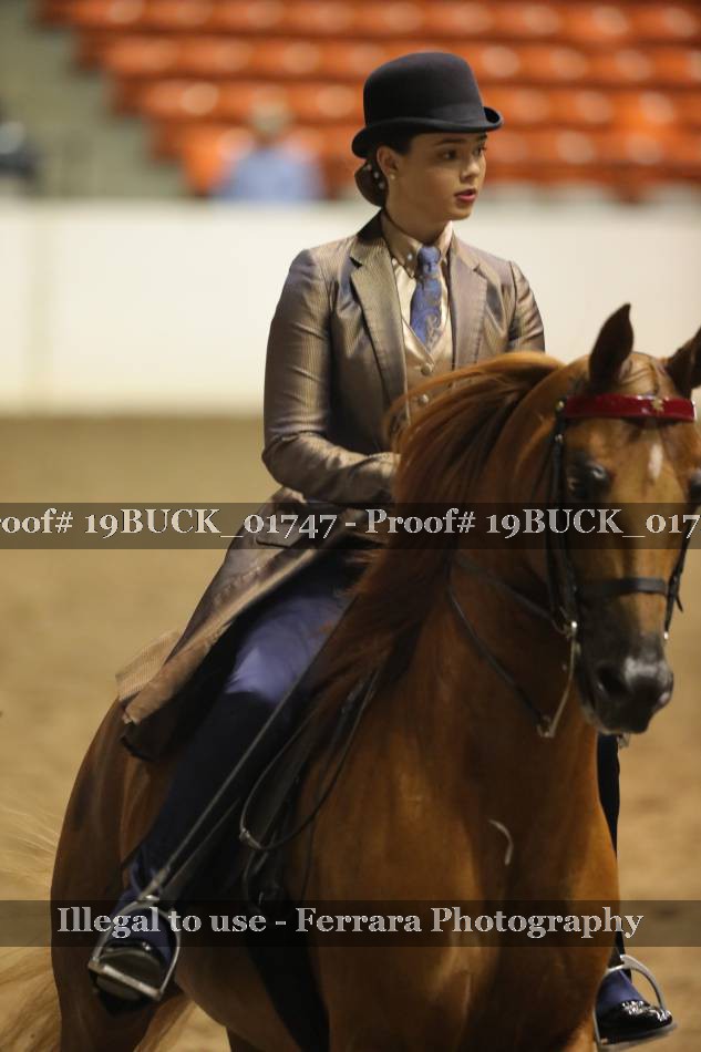 Proof 19BUCK_01747