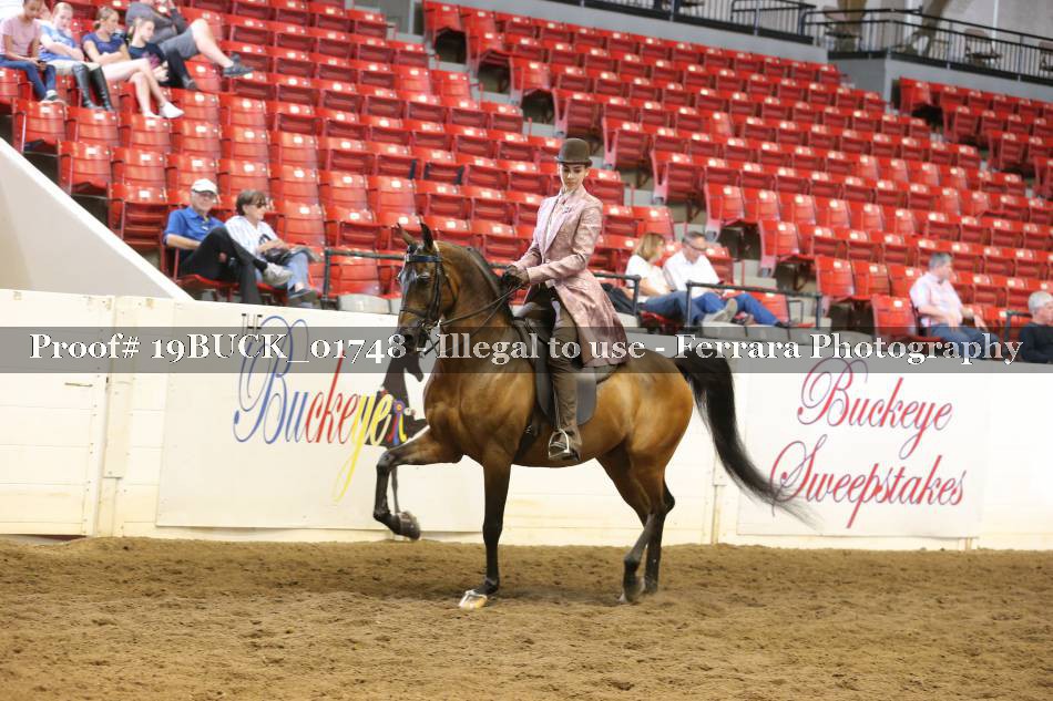 Proof 19BUCK_01748