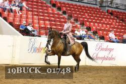 19BUCK_01748 proof
