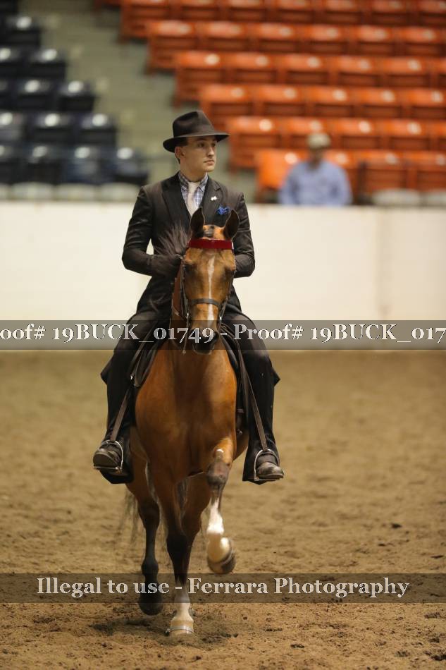 Proof 19BUCK_01749