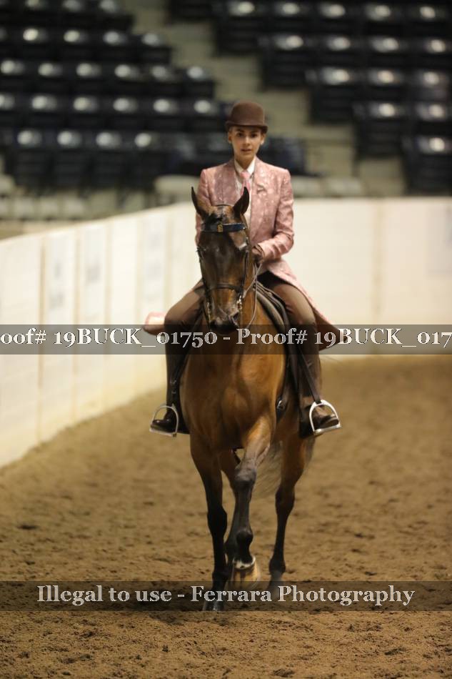Proof 19BUCK_01750