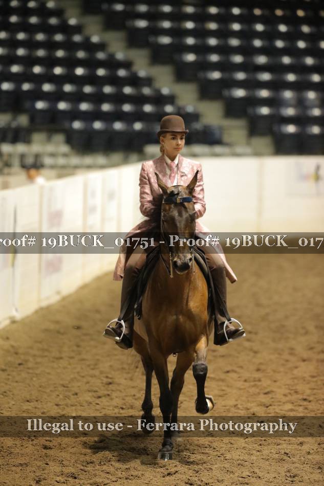Proof 19BUCK_01751