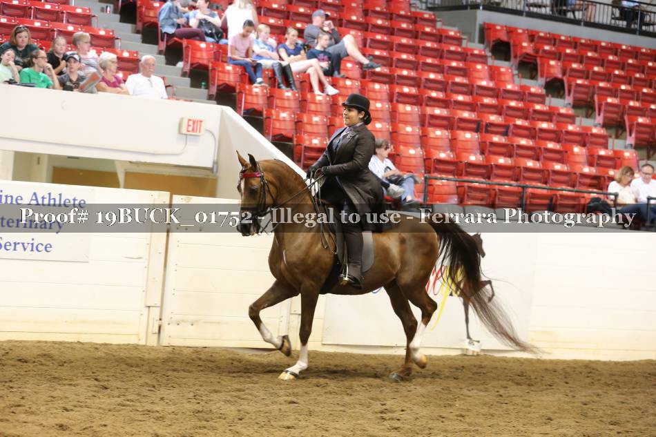 Proof 19BUCK_01752