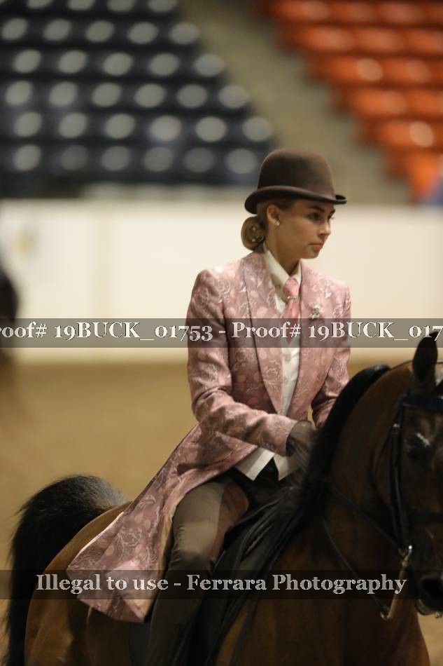 Proof 19BUCK_01753