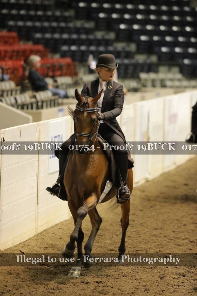 Proof 19BUCK_01754