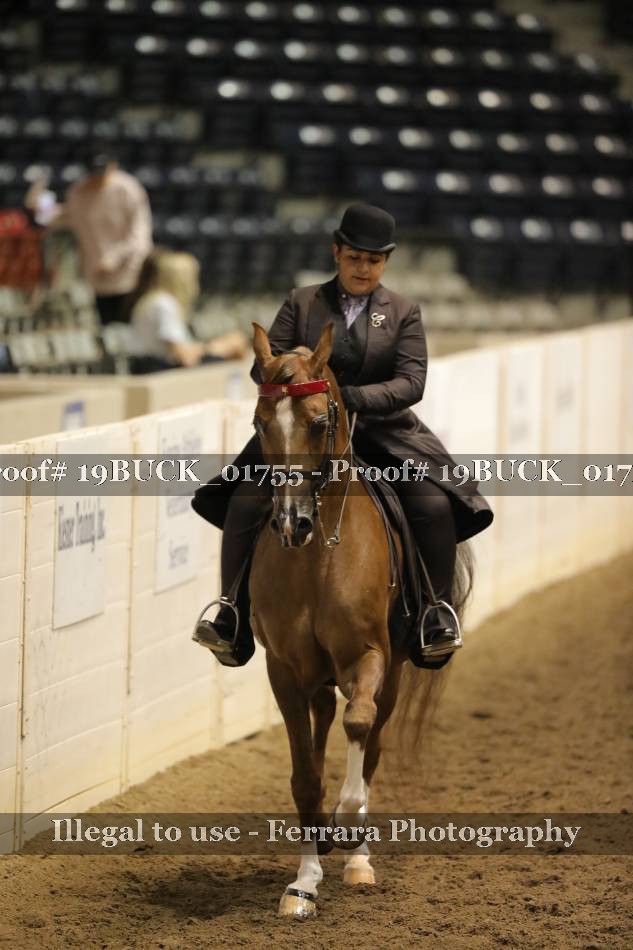 Proof 19BUCK_01755