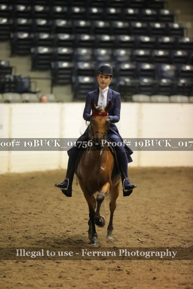 Proof 19BUCK_01756