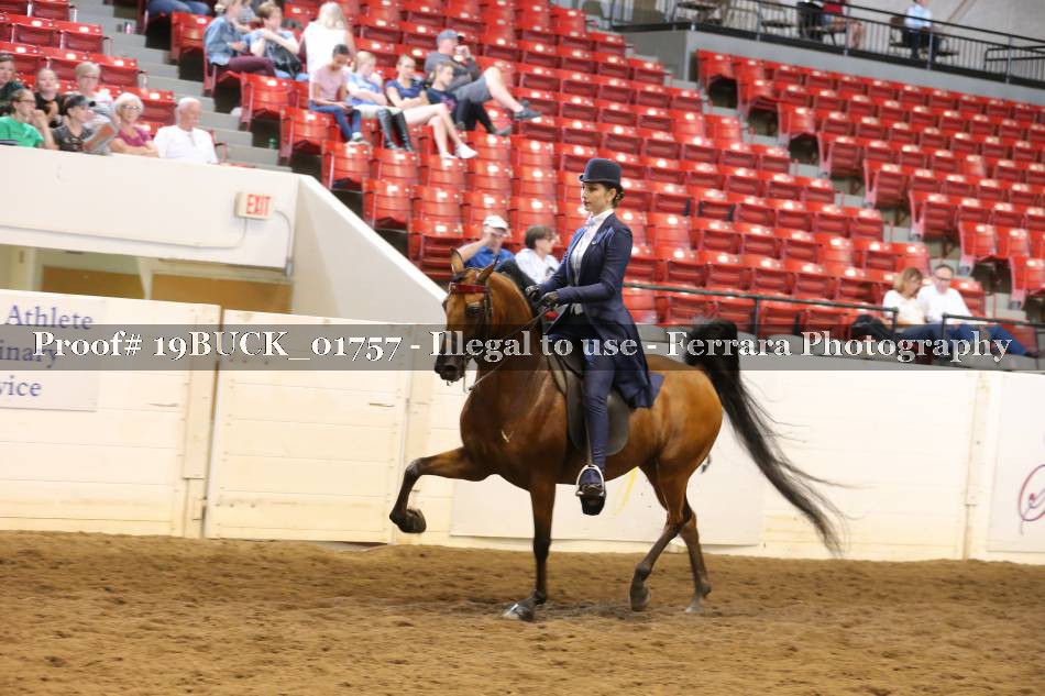 Proof 19BUCK_01757
