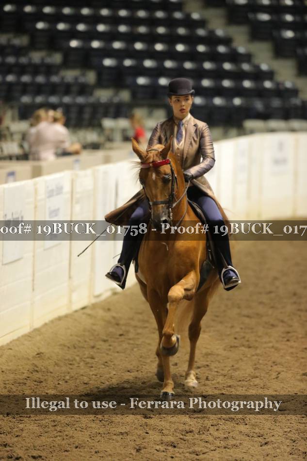 Proof 19BUCK_01758