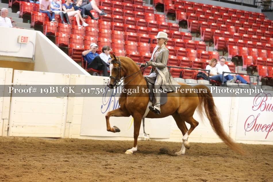 Proof 19BUCK_01759