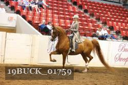19BUCK_01759 proof