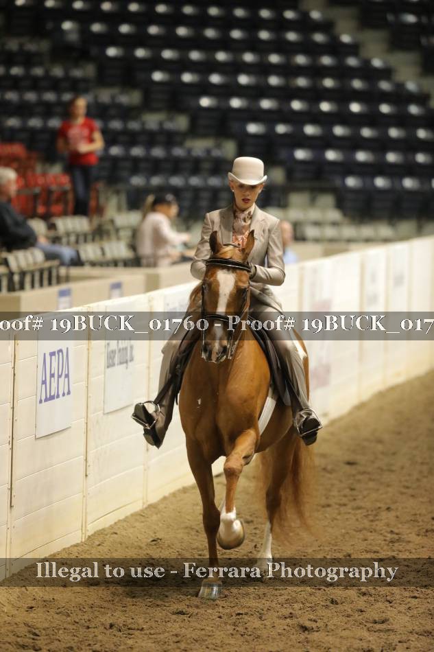 Proof 19BUCK_01760