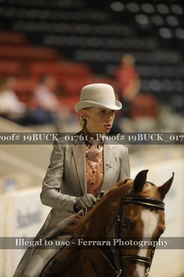 Proof 19BUCK_01761