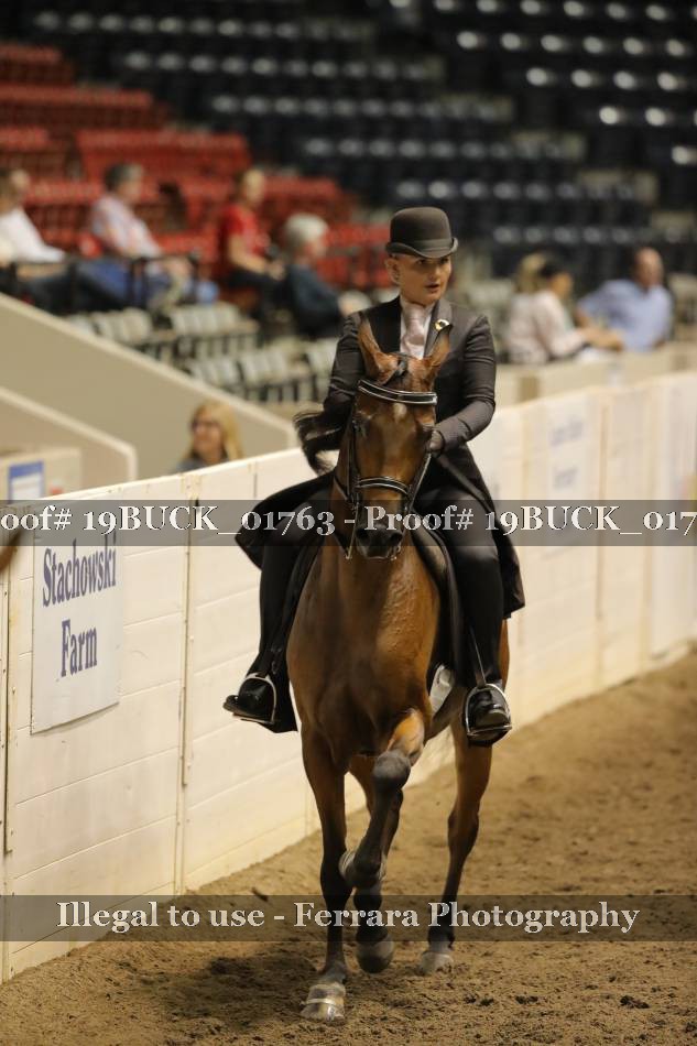 Proof 19BUCK_01763