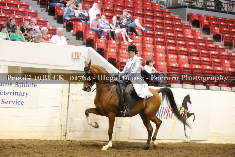 Proof 19BUCK_01764