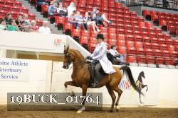 19BUCK_01764 proof