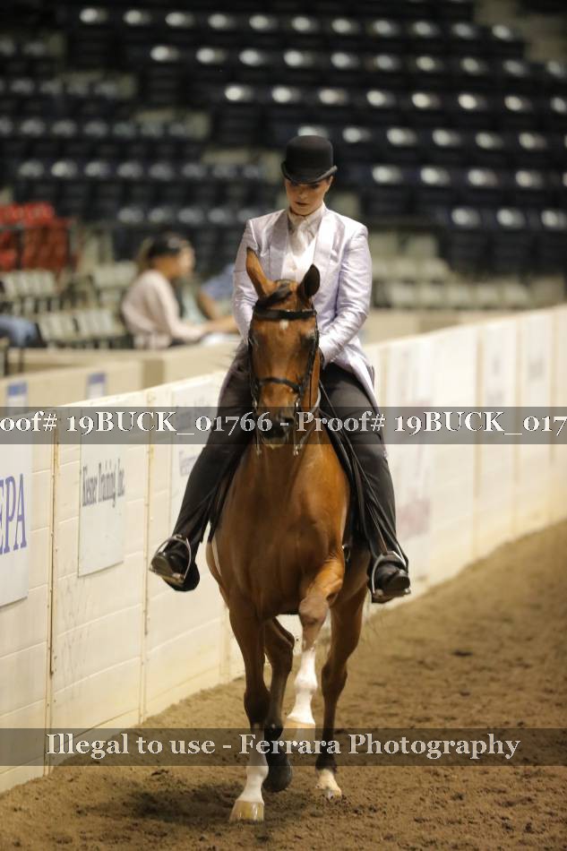 Proof 19BUCK_01766