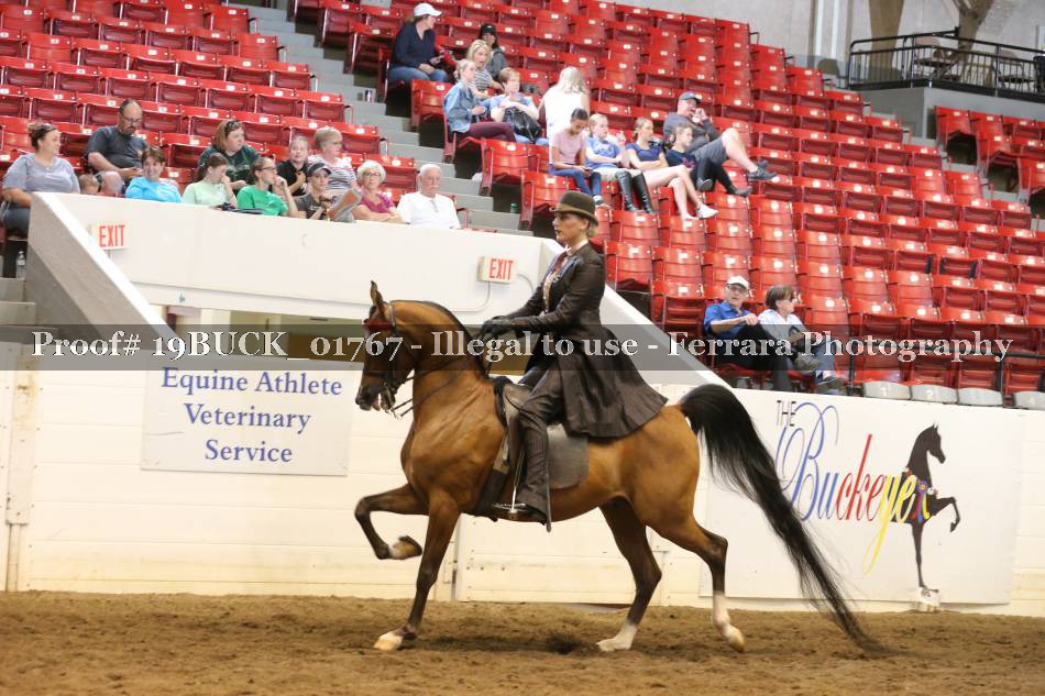 Proof 19BUCK_01767