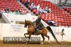 19BUCK_01767 proof