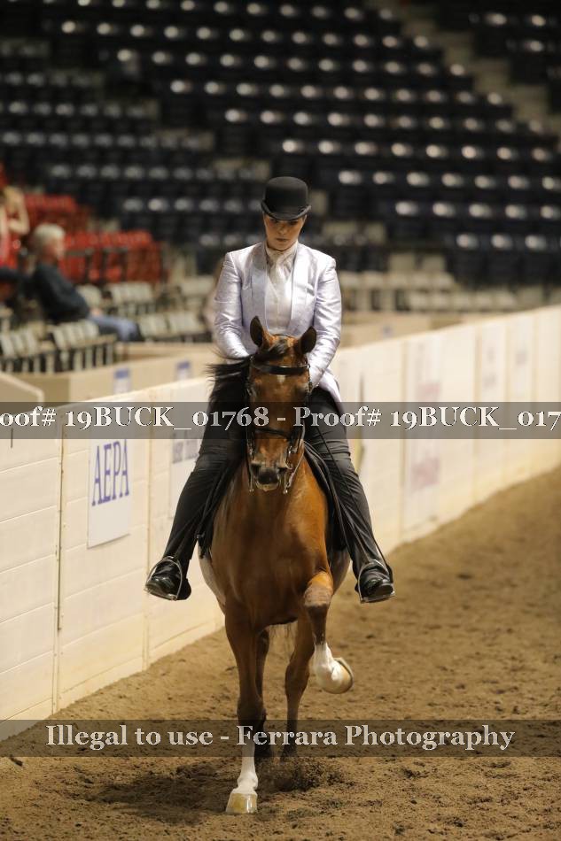 Proof 19BUCK_01768