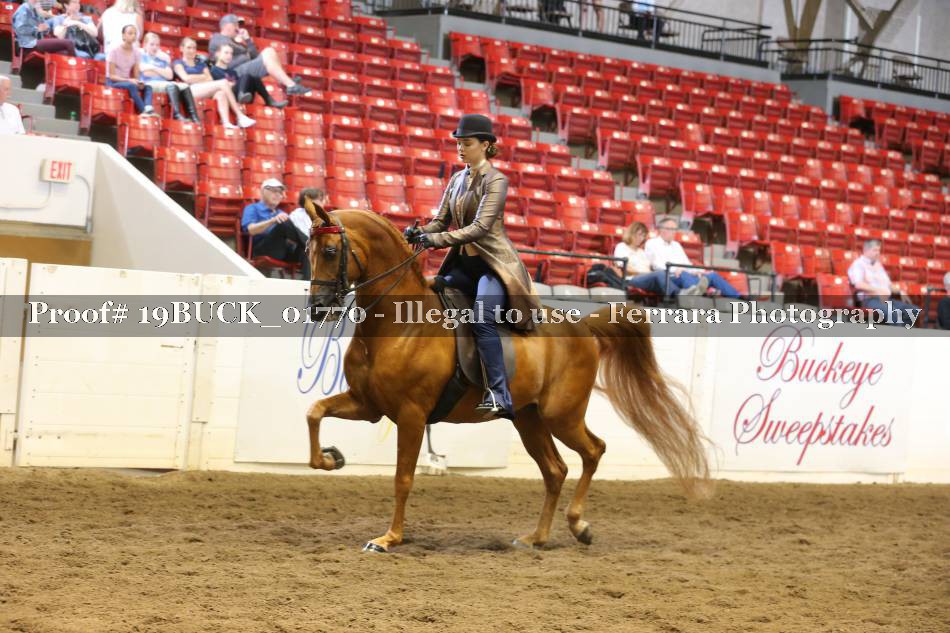 Proof 19BUCK_01770