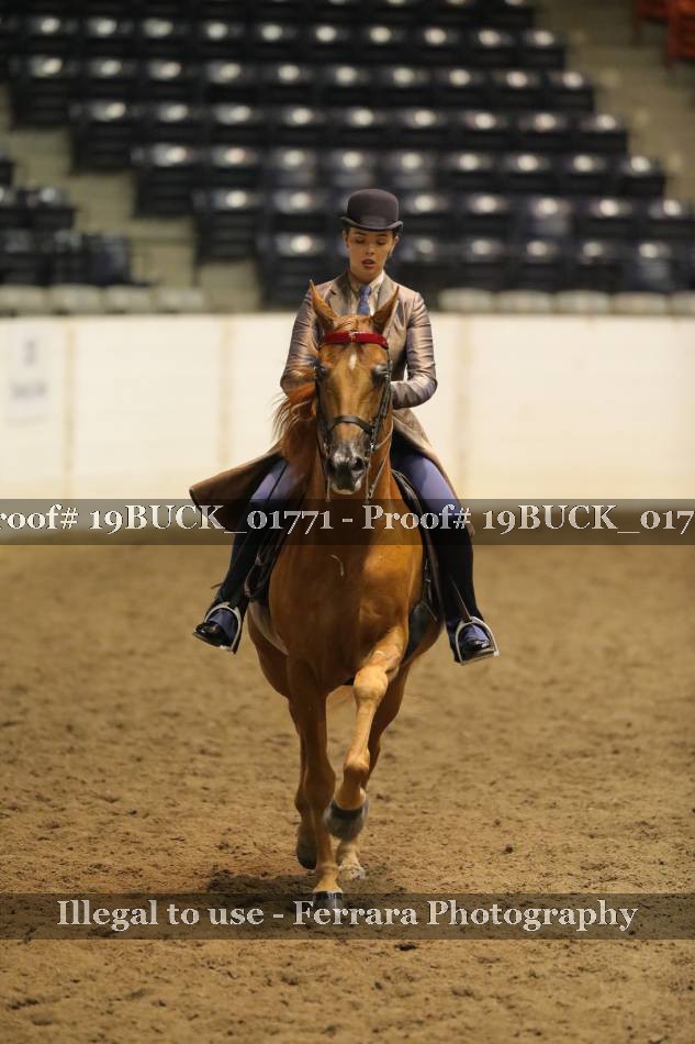 Proof 19BUCK_01771