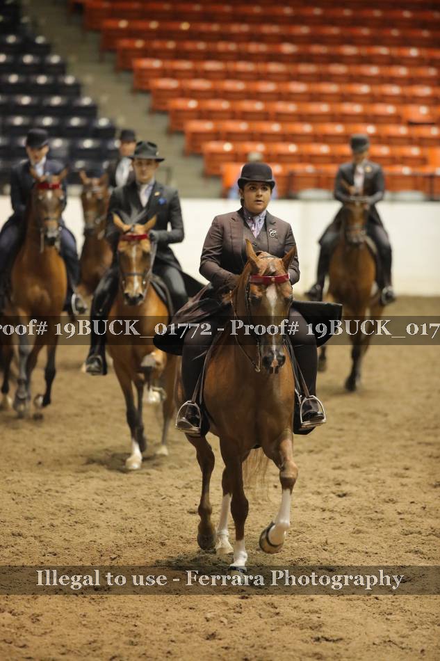 Proof 19BUCK_01772