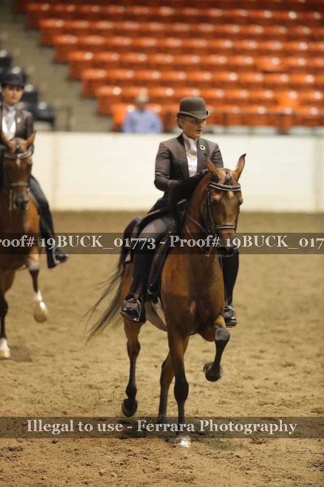 Proof 19BUCK_01773