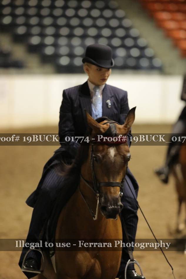 Proof 19BUCK_01774