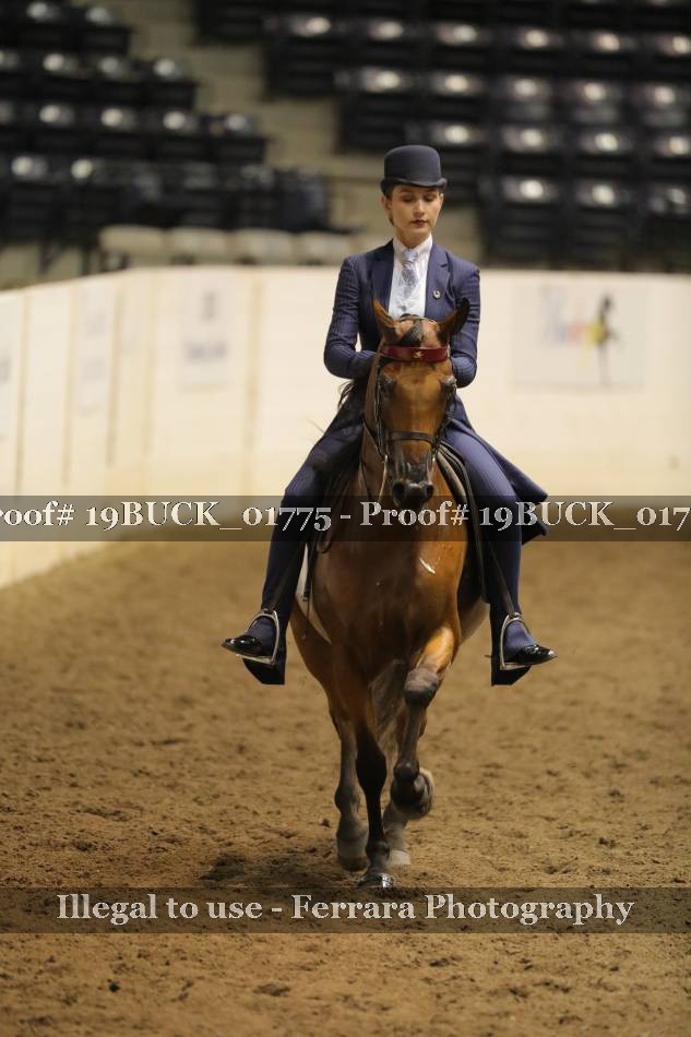Proof 19BUCK_01775